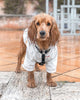 cocker spaniel planet shop nasa reflective dog safety raincoat