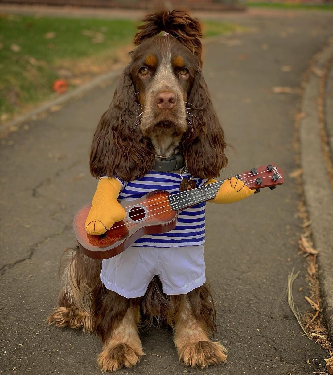 Guitar Player Cocker Costume