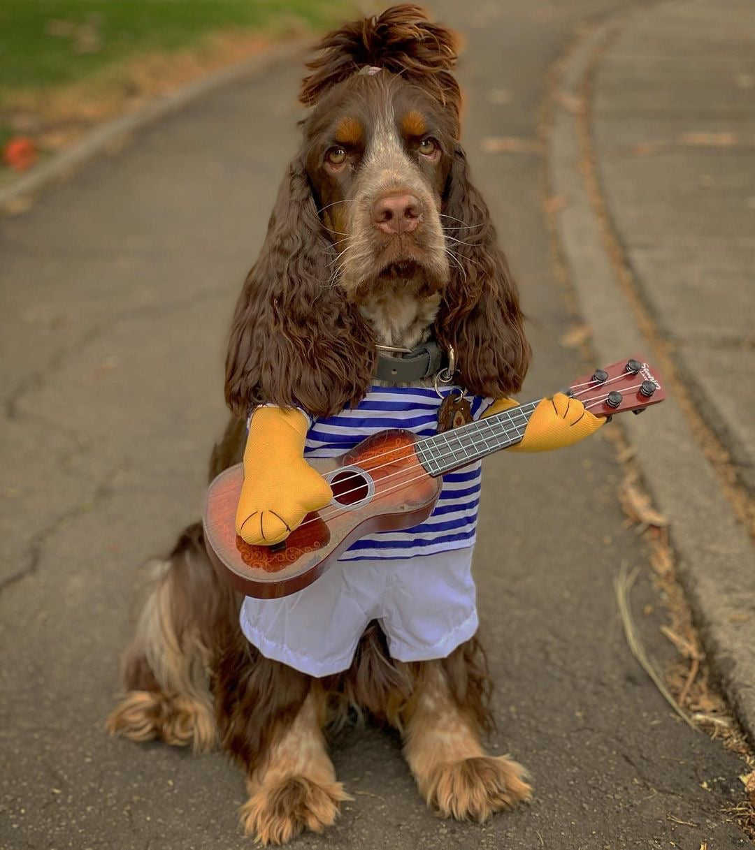 Guitar Player Cocker Costume