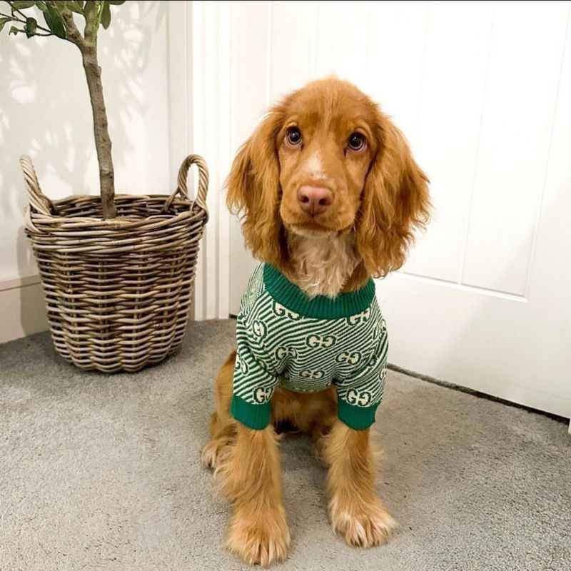 Green Cocker Sweater