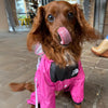 TDF Cocker Spaniel Raincoat